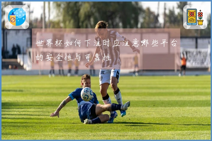 世界杯如何下注时应注意哪些平台的安全性与可靠性