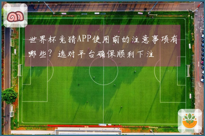 世界杯竞猜APP使用前的注意事项有哪些？选对平台确保顺利下注