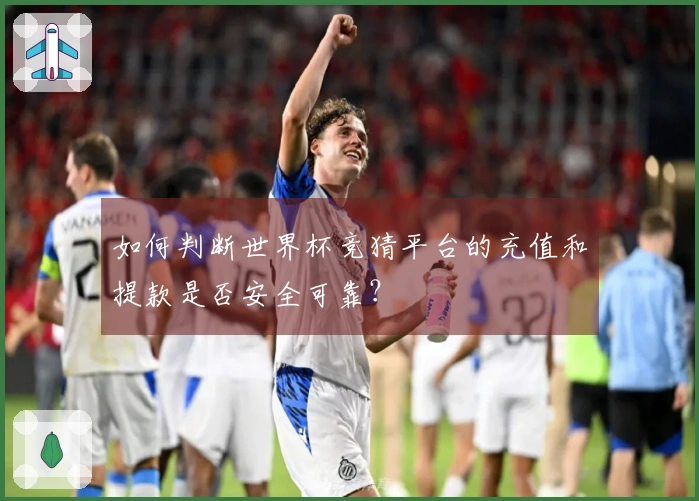 如何判断世界杯竞猜平台的充值和提款是否安全可靠？