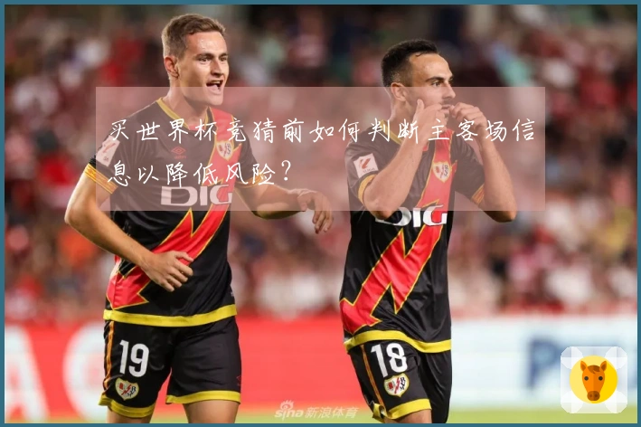 买世界杯竞猜前如何判断主客场信息以降低风险？