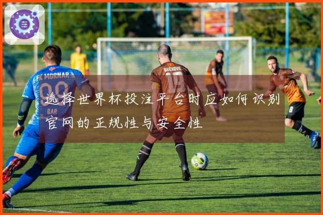 选择世界杯投注平台时应如何识别官网的正规性与安全性