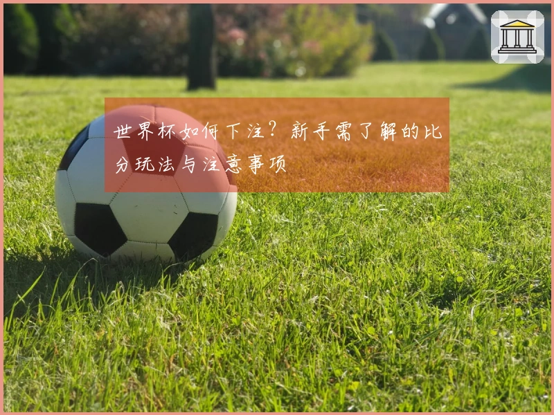 世界杯如何下注？新手需了解的比分玩法与注意事项