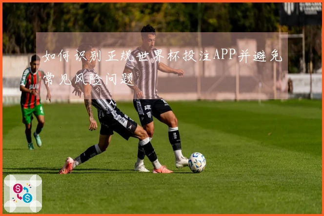 如何识别正规世界杯投注APP并避免常见风险问题