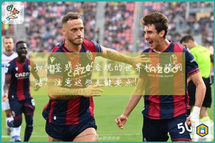 如何鉴别安全合规的世界杯竞猜网站？注意这些关键要点！