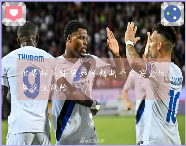世界杯买球前如何判断平台安全性与投注风险