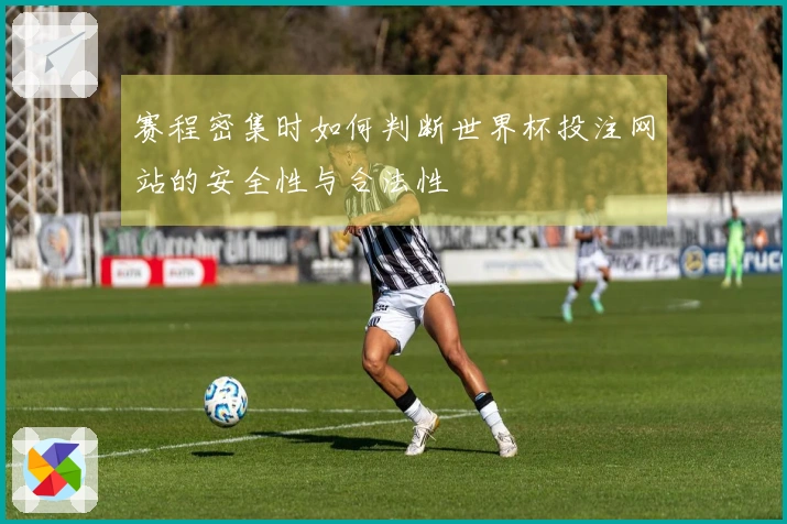 赛程密集时如何判断世界杯投注网站的安全性与合法性