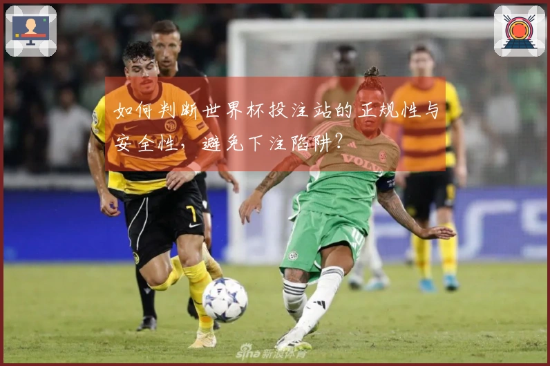 如何判断世界杯投注站的正规性与安全性，避免下注陷阱？