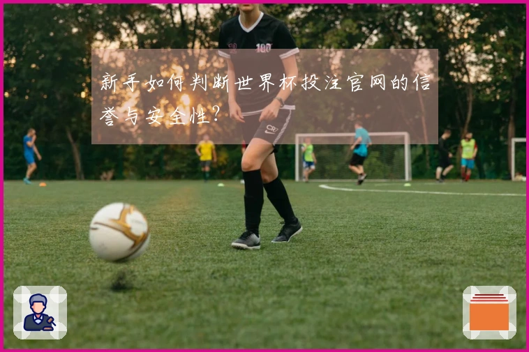 新手如何判断世界杯投注官网的信誉与安全性？