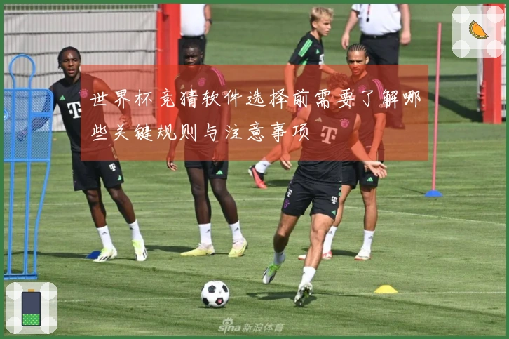 世界杯竞猜软件选择前需要了解哪些关键规则与注意事项