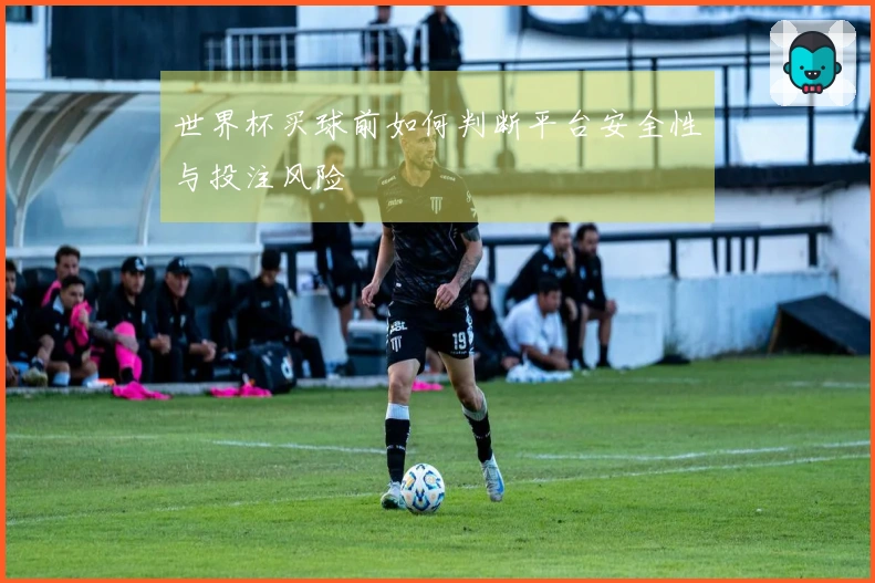 世界杯买球前如何判断平台安全性与投注风险
