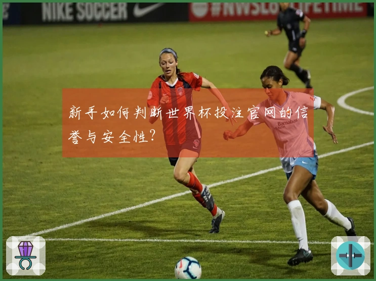 新手如何判断世界杯投注官网的信誉与安全性？
