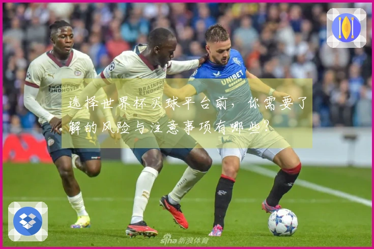 选择世界杯买球平台前，你需要了解的风险与注意事项有哪些？