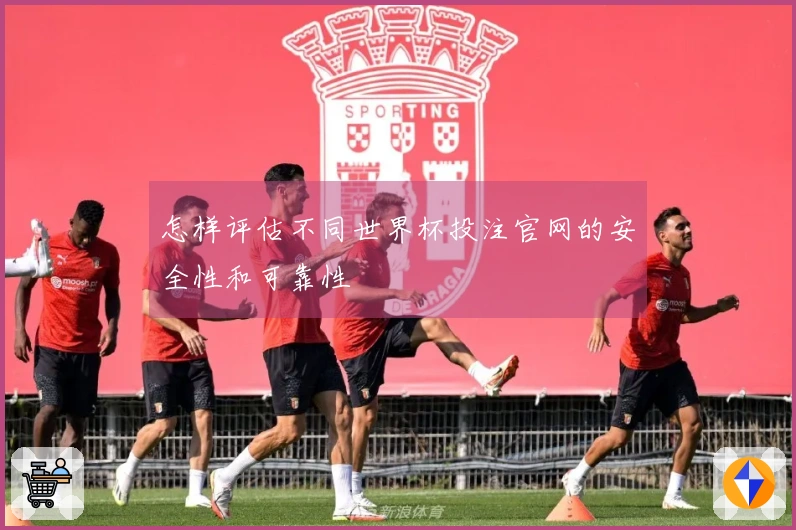 怎样评估不同世界杯投注官网的安全性和可靠性