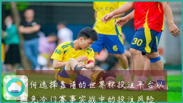 如何选择靠谱的世界杯投注平台以避免冷门赛事实战中的投注风险