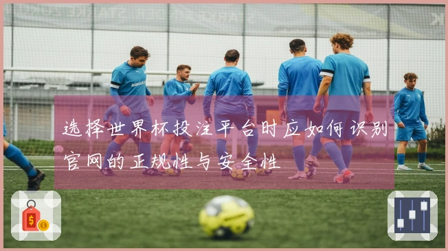 选择世界杯投注平台时应如何识别官网的正规性与安全性