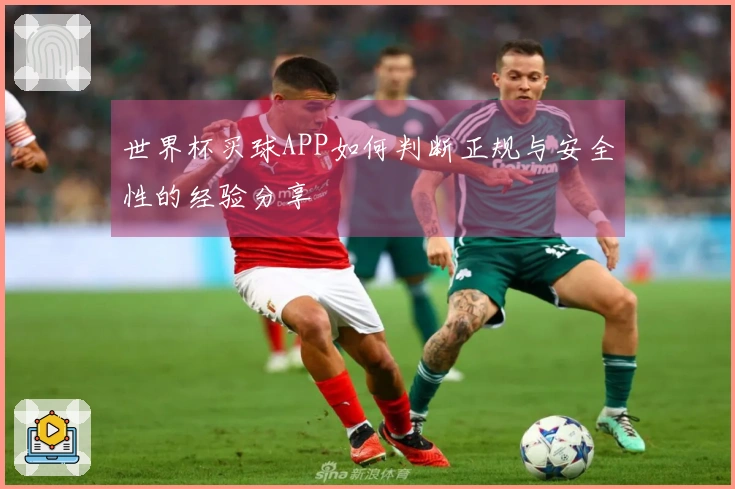 世界杯买球APP如何判断正规与安全性的经验分享