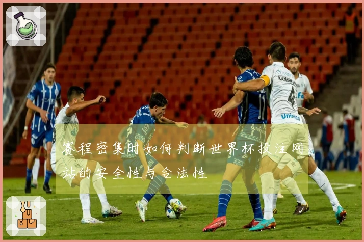 赛程密集时如何判断世界杯投注网站的安全性与合法性