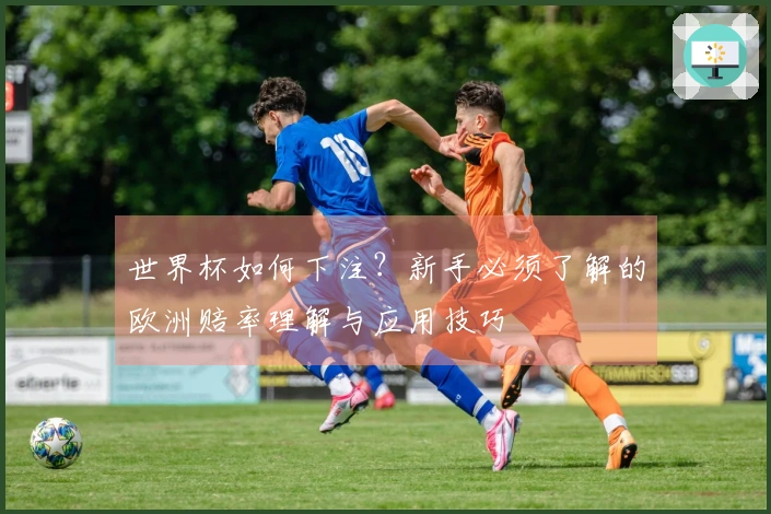 世界杯如何下注？新手必须了解的欧洲赔率理解与应用技巧
