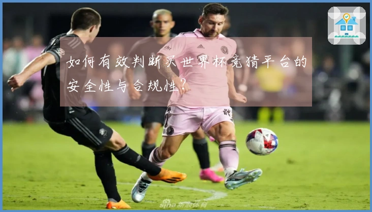 如何有效判断买世界杯竞猜平台的安全性与合规性?