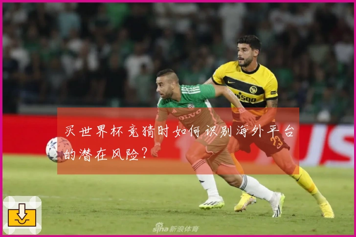 买世界杯竞猜时如何识别海外平台的潜在风险？