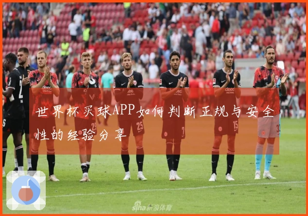 世界杯买球APP如何判断正规与安全性的经验分享