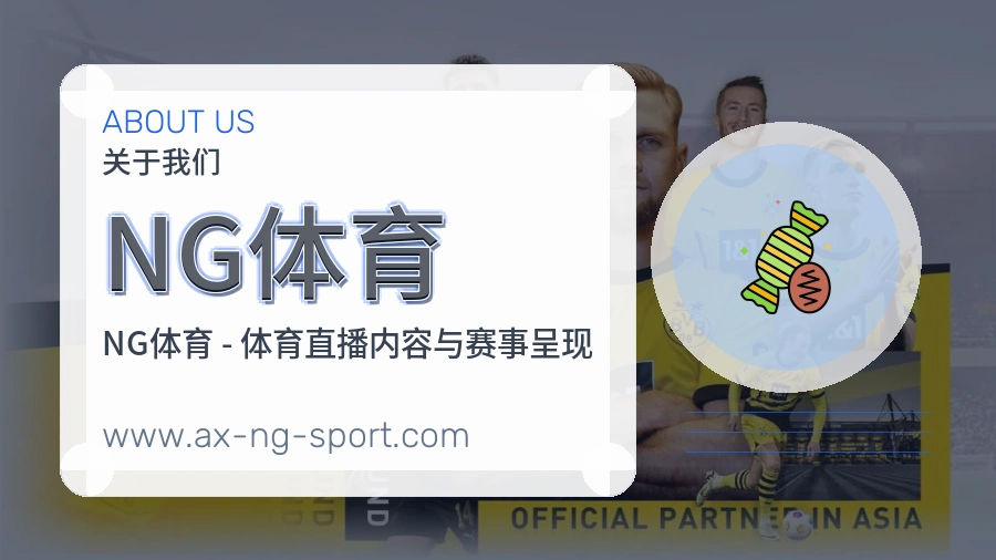 NG体育访问保障说明